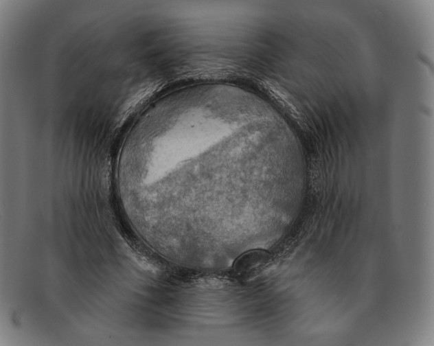 X0000091290586200708311319