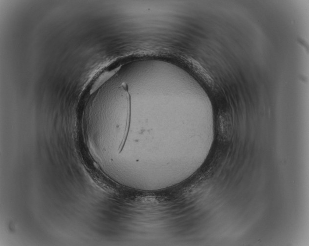 X0000091290588200708311319