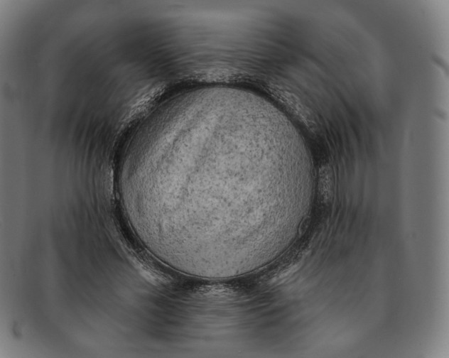 X0000091290589200708311319