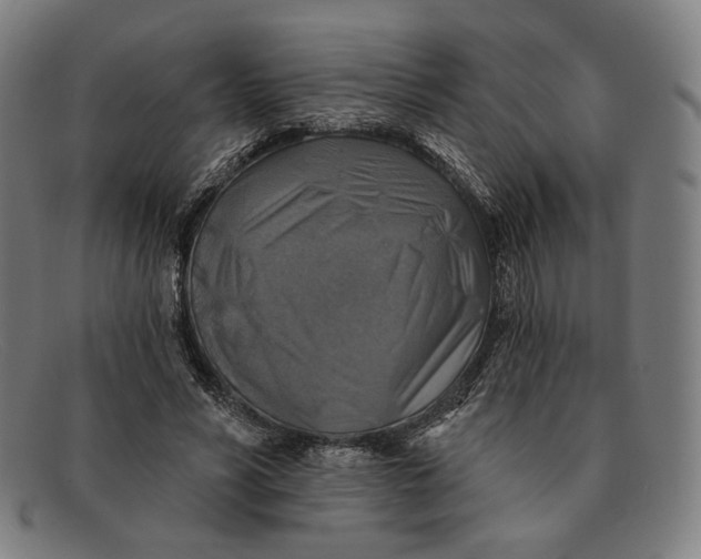 X0000091290590200708311319