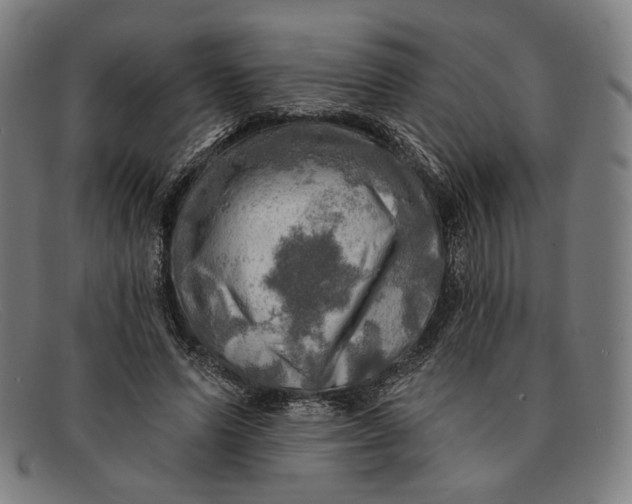 X0000091290591200708311319