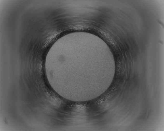 X0000091290592200708311319