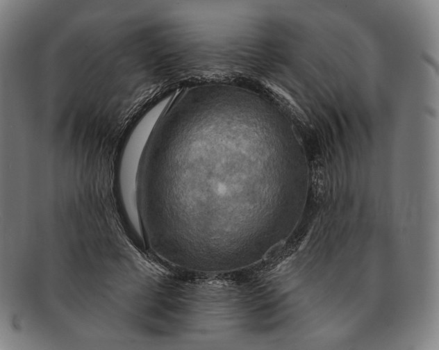 X0000091290593200708311319