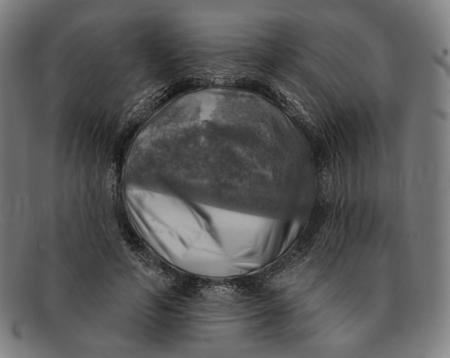 X0000091290594200708311319