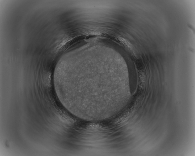 X0000091290596200708311319