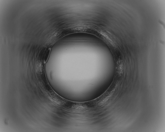 X0000091290597200708311319