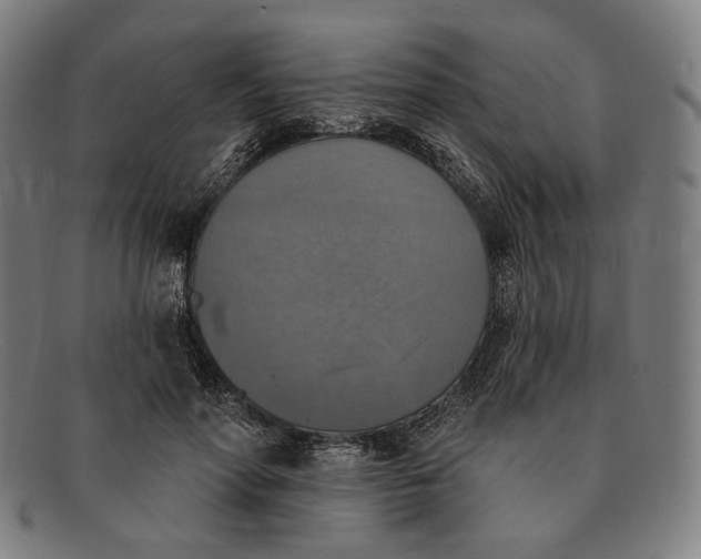 X0000091290598200708311319