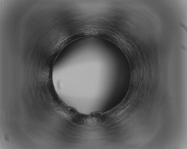 X0000091290600200708311319