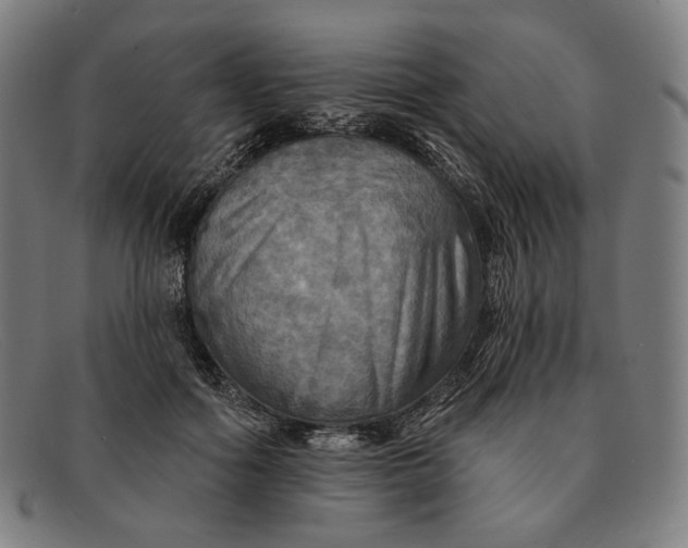 X0000091290602200708311319