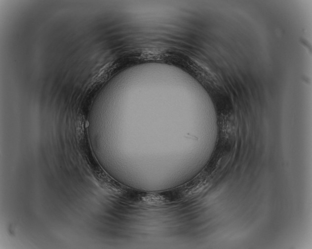 X0000091290603200708311319