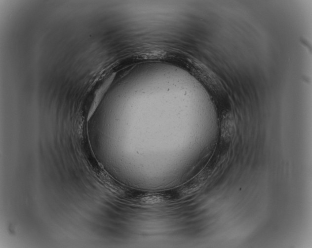 X0000091290604200708311319