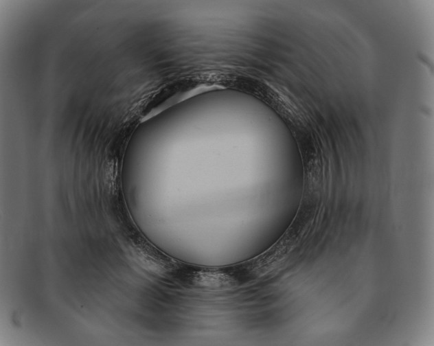 X0000091290605200708311319