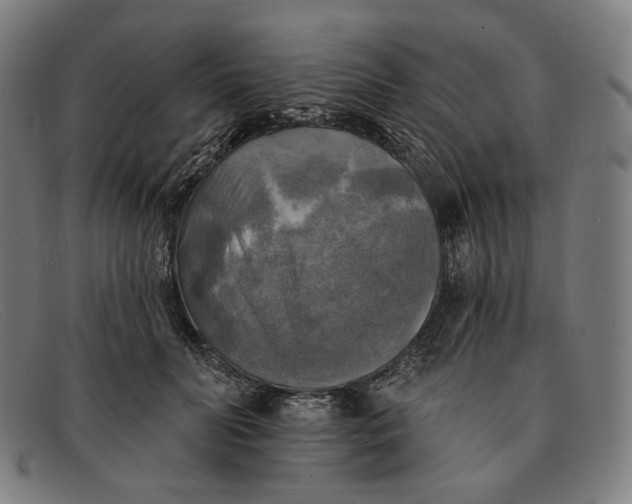 X0000091290606200708311319