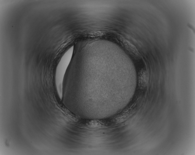 X0000091290608200708311318