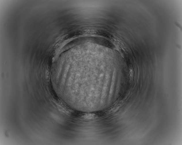 X0000091290609200708311318