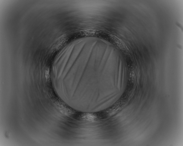 X0000091290610200708311318