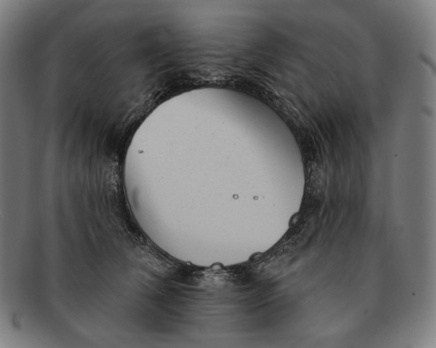 X0000091290612200708311318