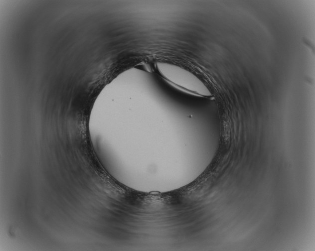 X0000091290613200708311318