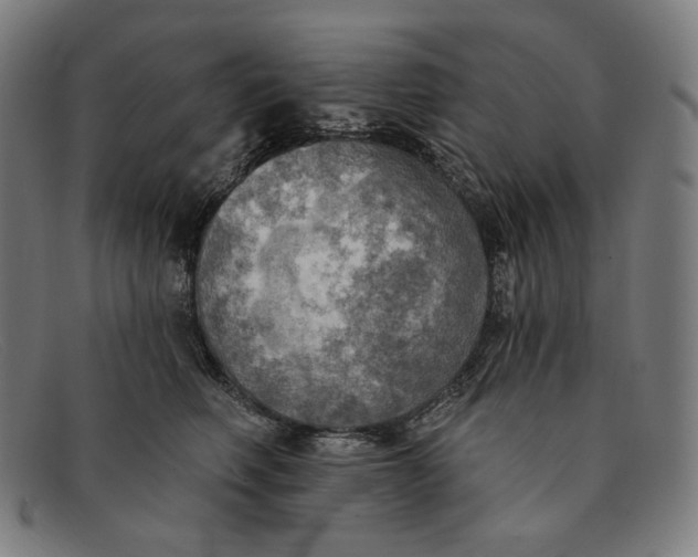 X0000091290614200708311318