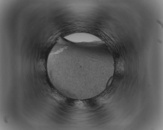 X0000091290616200708311318