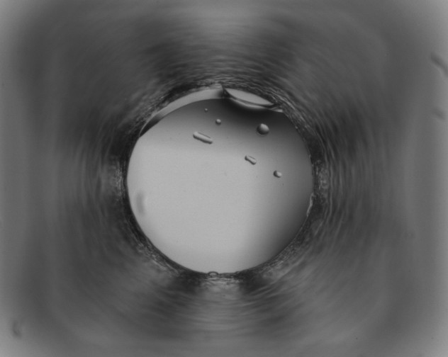 X0000091290617200708311318