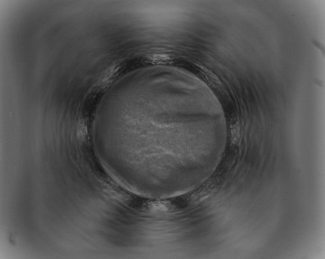 X0000091290618200708311318