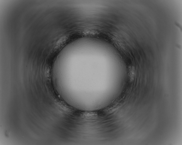 X0000091290619200708311318