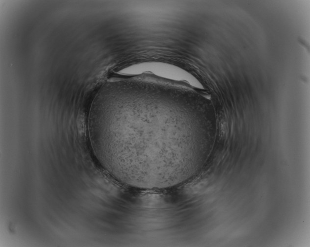 X0000091290620200708311318