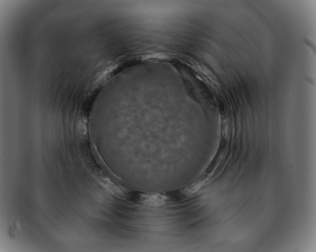 X0000091290621200708311318