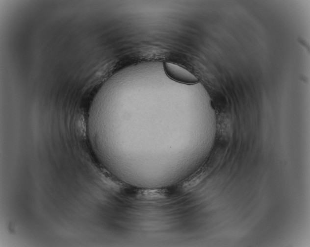 X0000091290622200708311318