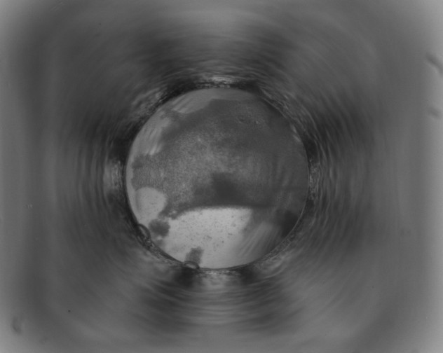 X0000091290623200708311318