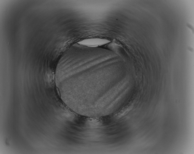 X0000091290624200708311318