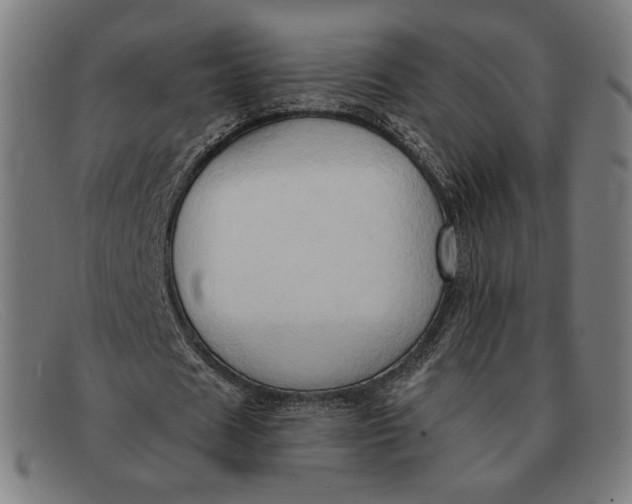 X0000091290625200708311318