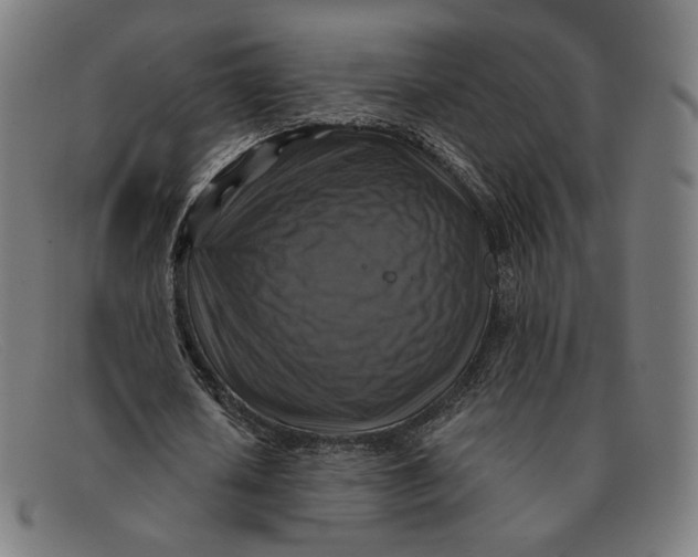 X0000091290626200708311318