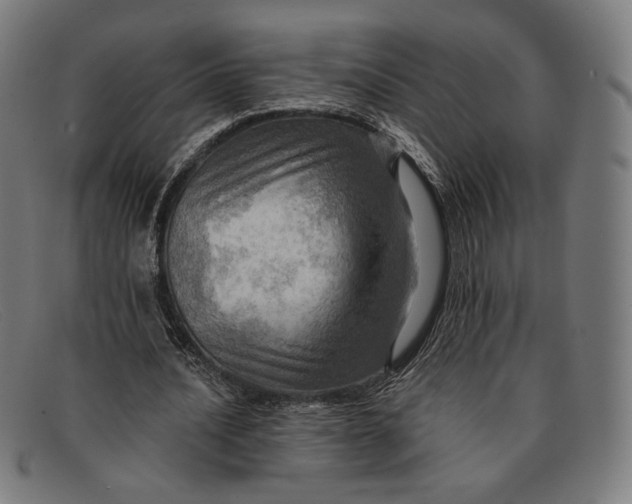 X0000091290628200708311318