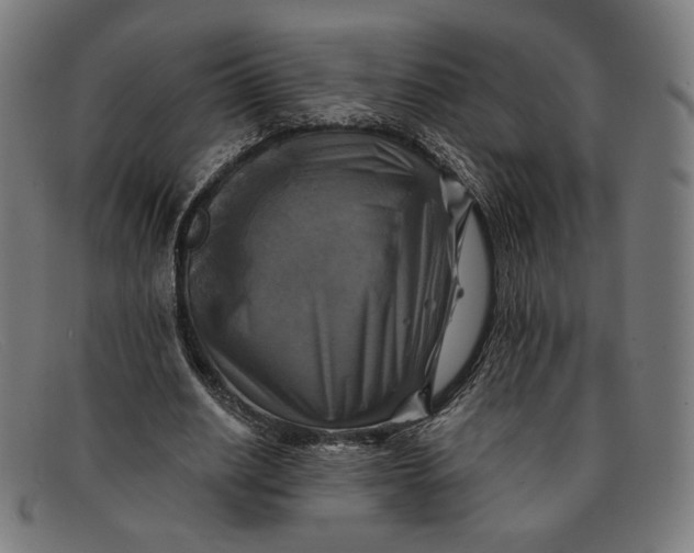 X0000091290630200708311318