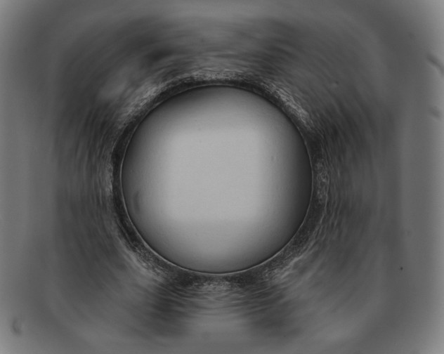 X0000091290631200708311318