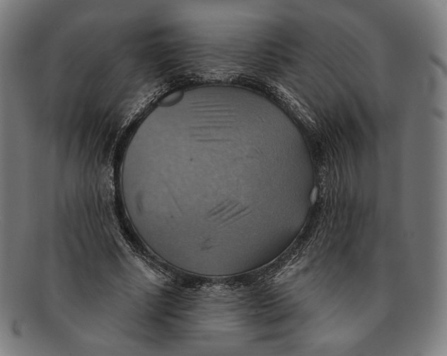 X0000091290634200708311318