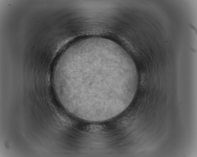 X0000091290636200708311318