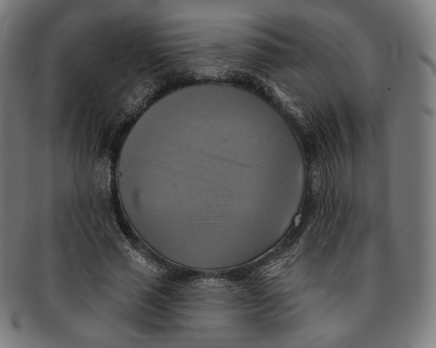 X0000091290637200708311318