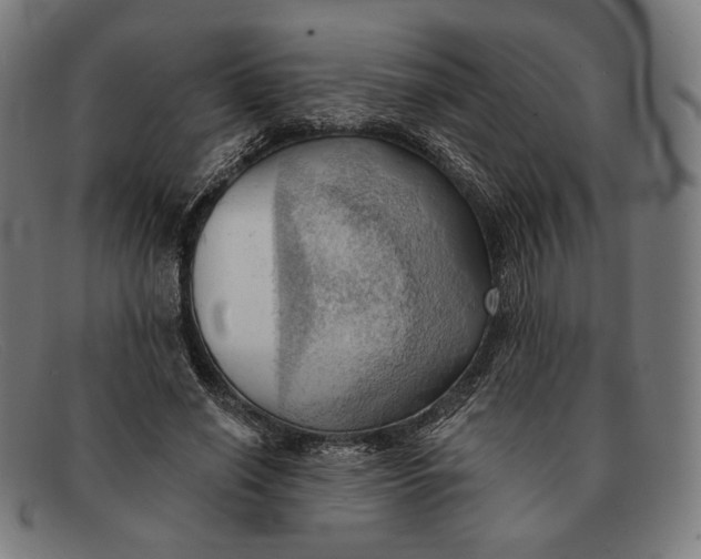 X0000091290638200708311318