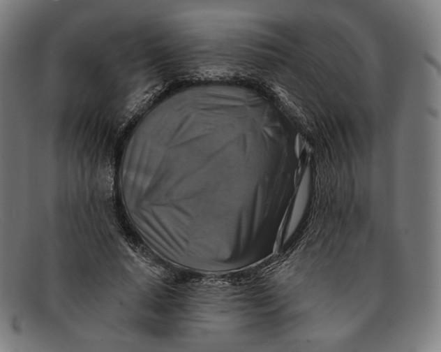 X0000091290640200708311318