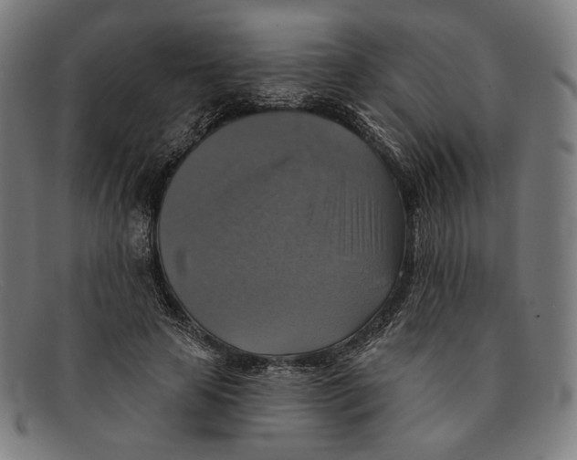 X0000091290641200708311318