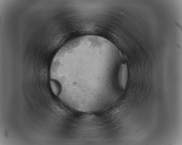 X0000091290642200708311318