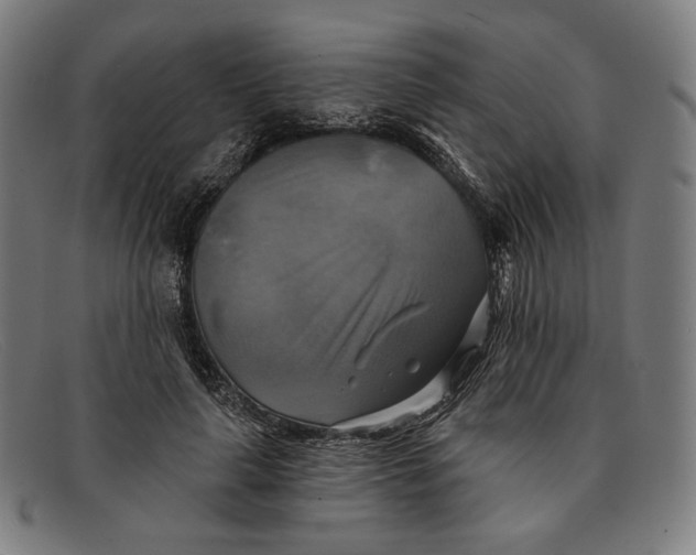 X0000091290643200708311318