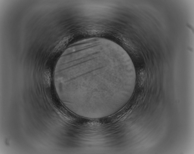 X0000091290644200708311318