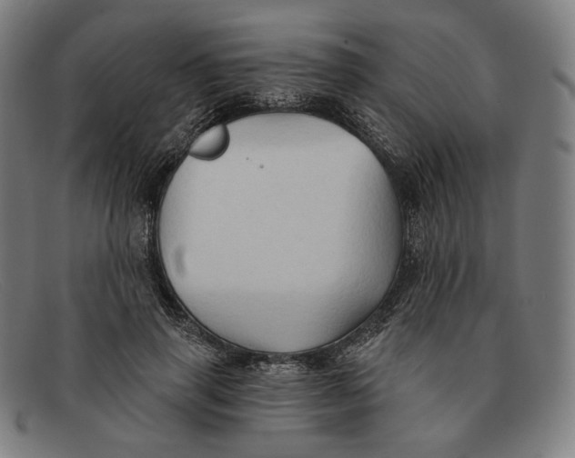 X0000091290645200708311318