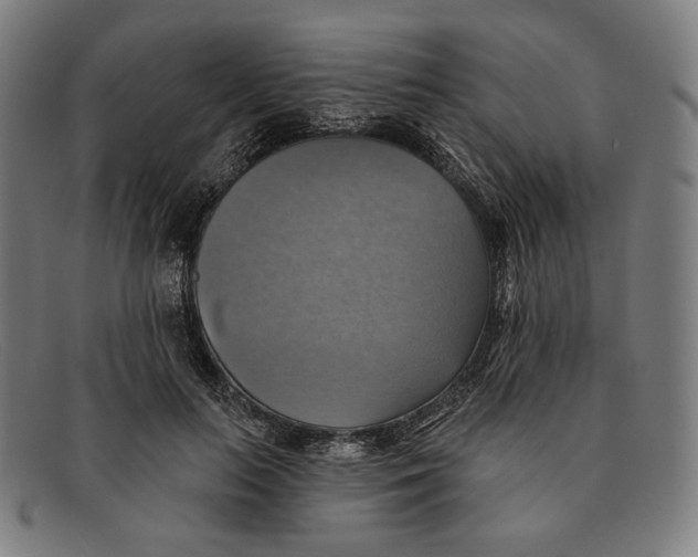 X0000091290647200708311318