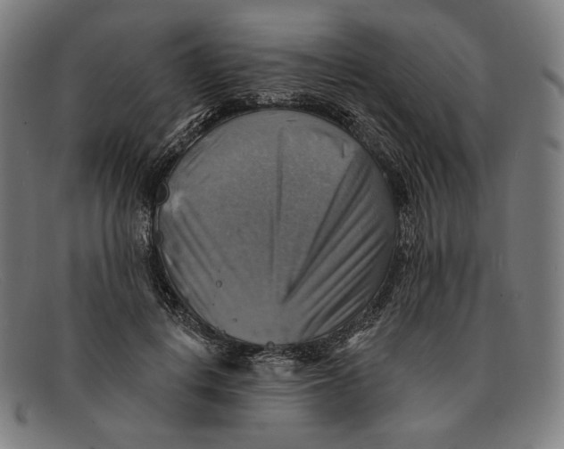 X0000091290648200708311318