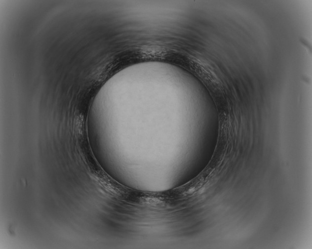 X0000091290649200708311318